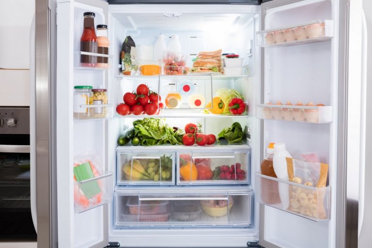 Indispensable : le réfrigérateur et le congélateur